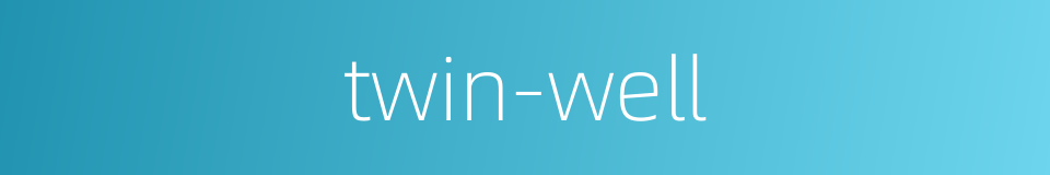 twin-well的同义词