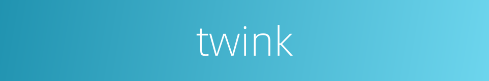 twink的意思