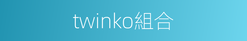 twinko組合的同義詞