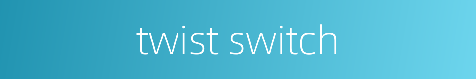 twist switch的同义词