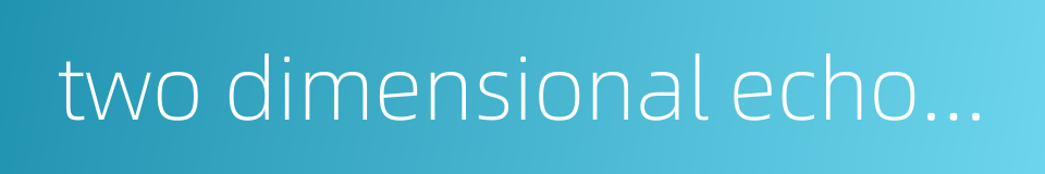 two dimensional echocardiography的同义词