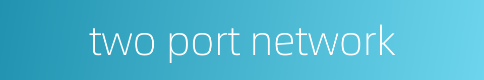 two port network的同义词