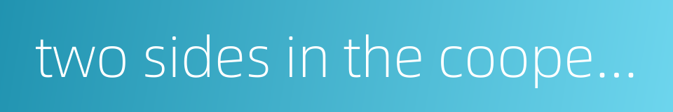 two sides in the cooperation的同义词