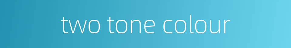 two tone colour的同义词
