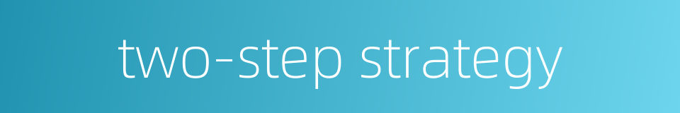 two-step strategy的同义词