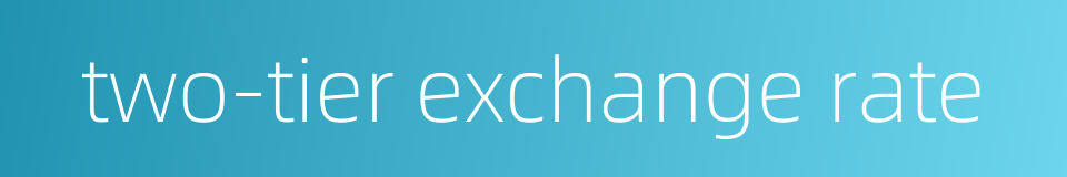 two-tier exchange rate的同义词