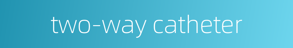 two-way catheter的同义词