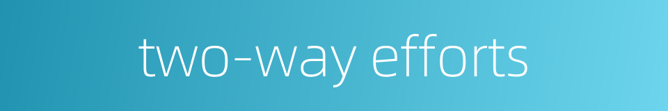 two-way efforts的同义词