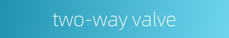 two-way valve的同义词