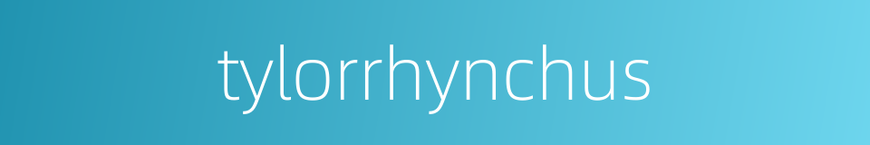 tylorrhynchus的同义词