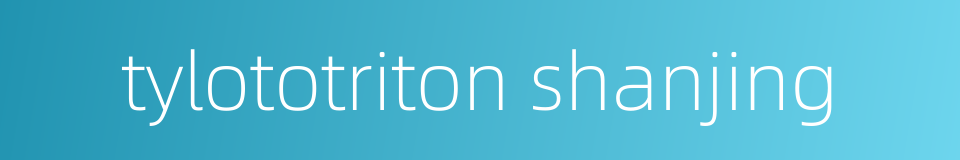 tylototriton shanjing的同义词