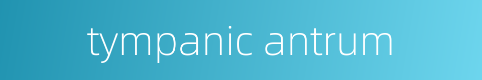 tympanic antrum的同义词