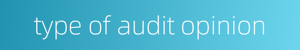type of audit opinion的同义词