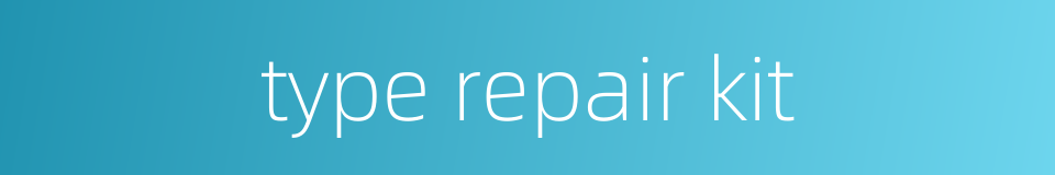 type repair kit的同义词