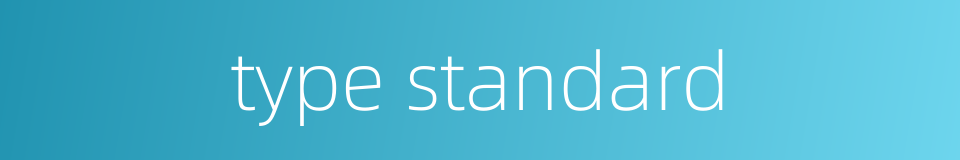 type standard的同义词