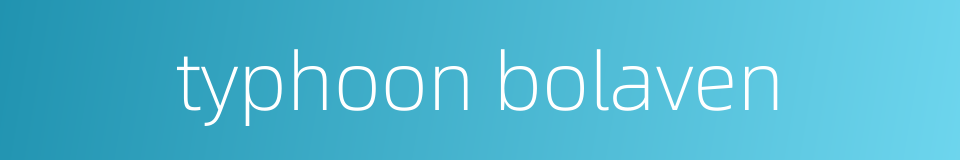 typhoon bolaven的同义词