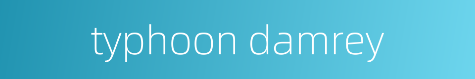 typhoon damrey的同义词