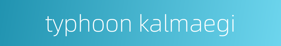 typhoon kalmaegi的同义词