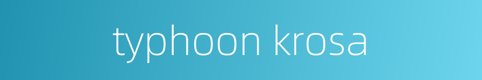 typhoon krosa的同义词