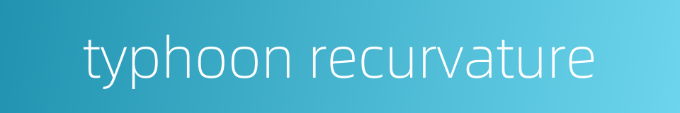 typhoon recurvature的同义词