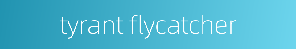 tyrant flycatcher的同义词