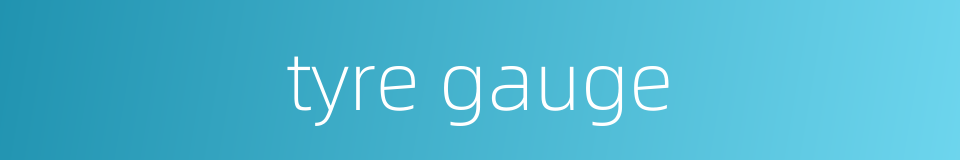 tyre gauge的同义词