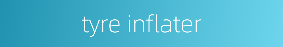 tyre inflater的同义词