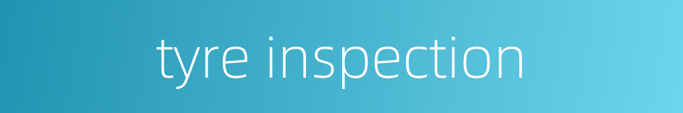 tyre inspection的同义词