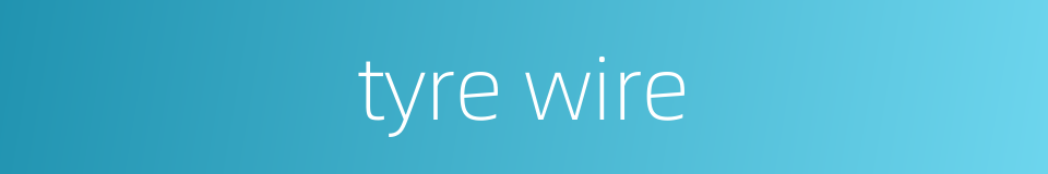 tyre wire的同义词