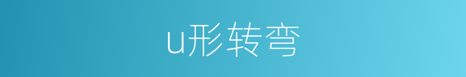 u形转弯的同义词