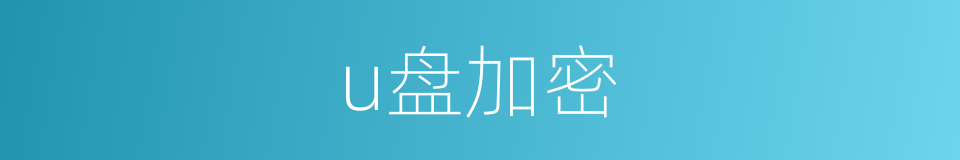 u盘加密的同义词