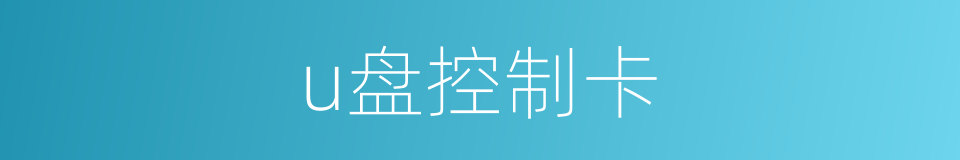 u盘控制卡的同义词