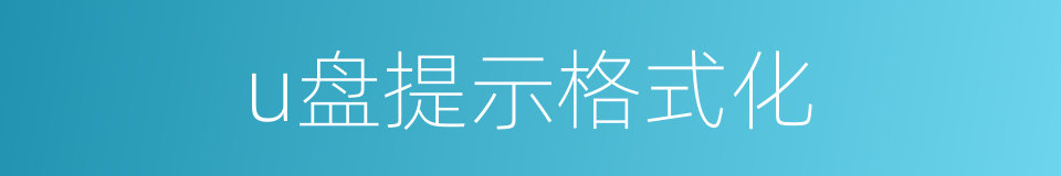 u盘提示格式化的同义词