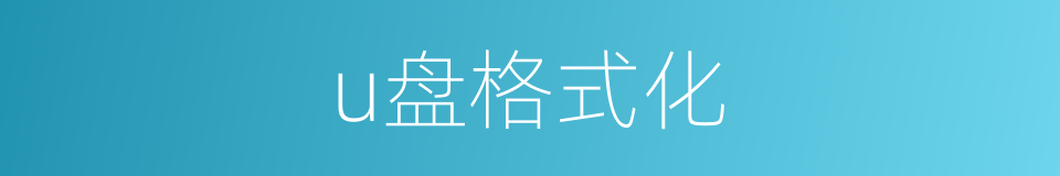 u盘格式化的同义词