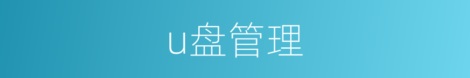 u盘管理的同义词