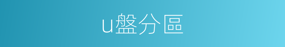 u盤分區的同義詞