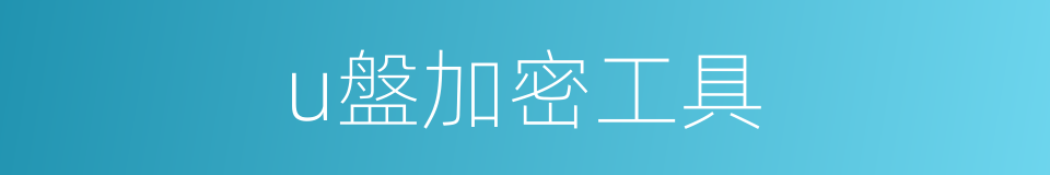 u盤加密工具的同義詞