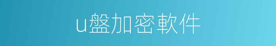 u盤加密軟件的同義詞