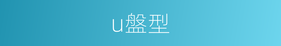 u盤型的同義詞