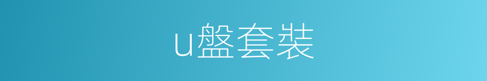 u盤套裝的同義詞
