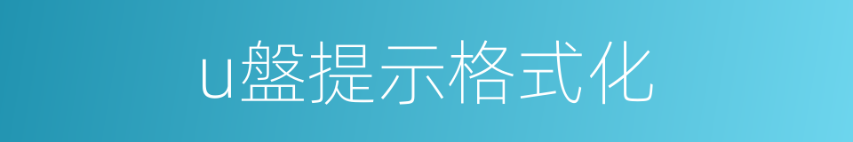 u盤提示格式化的同義詞