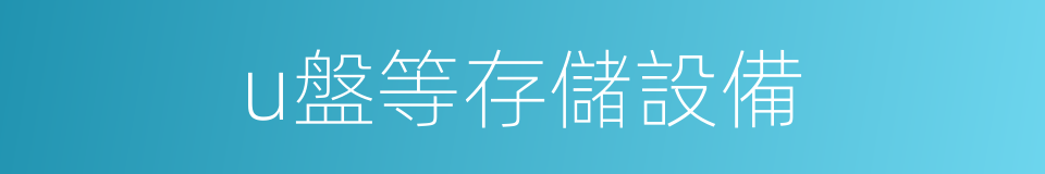 u盤等存儲設備的同義詞