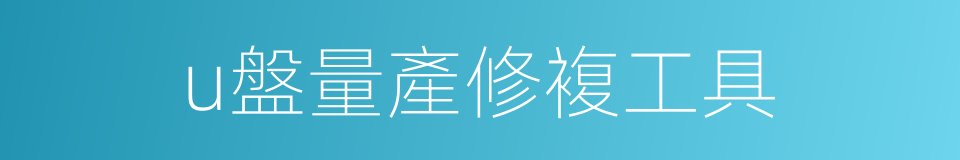 u盤量產修複工具的同義詞