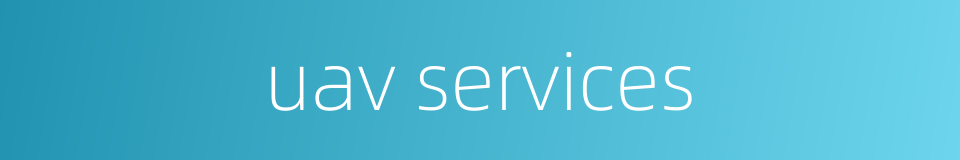 uav services的同义词
