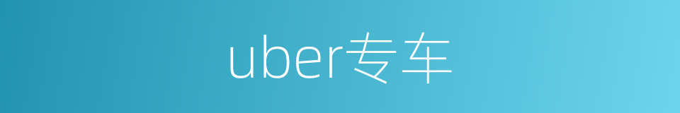 uber专车的同义词