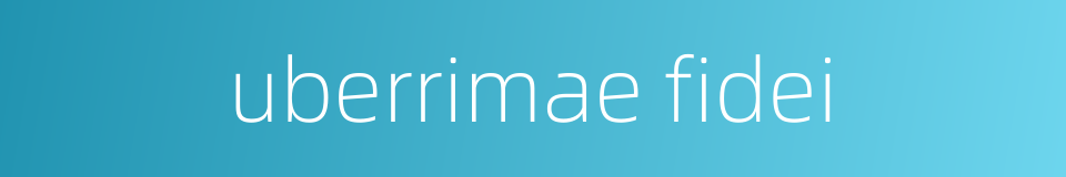 uberrimae fidei的同义词
