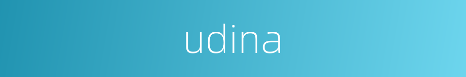udina的同义词