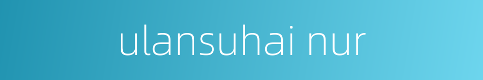 ulansuhai nur的同义词