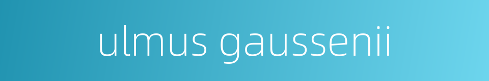 ulmus gaussenii的同义词