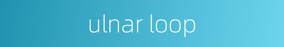 ulnar loop的同义词